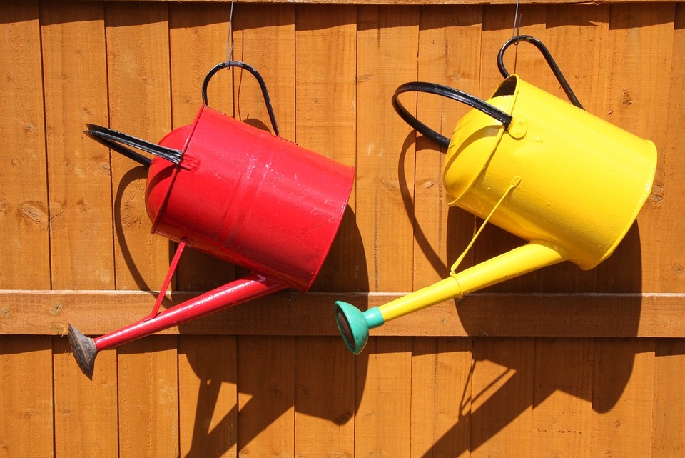due annaffiatoi giallo e rosso per piante da giardino