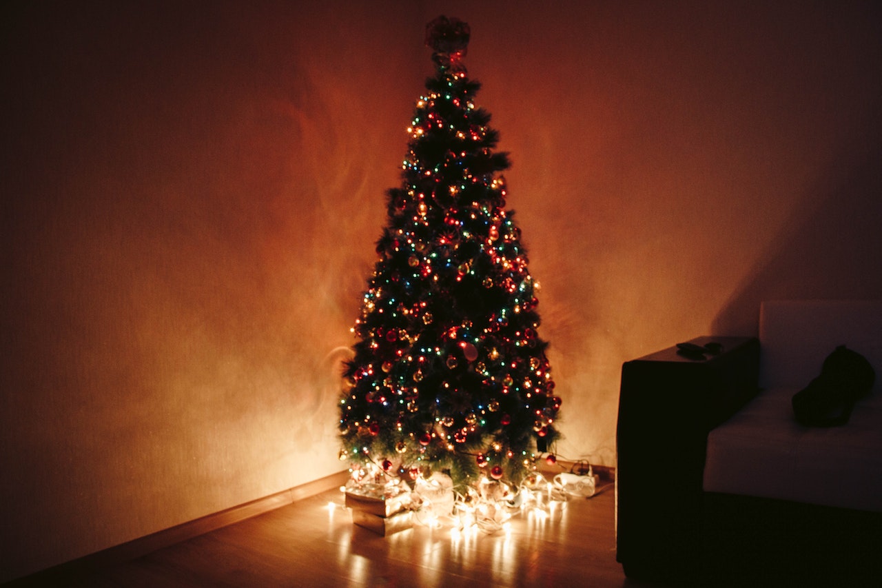 Albero di Natale: storia, curiosità e tradizioni