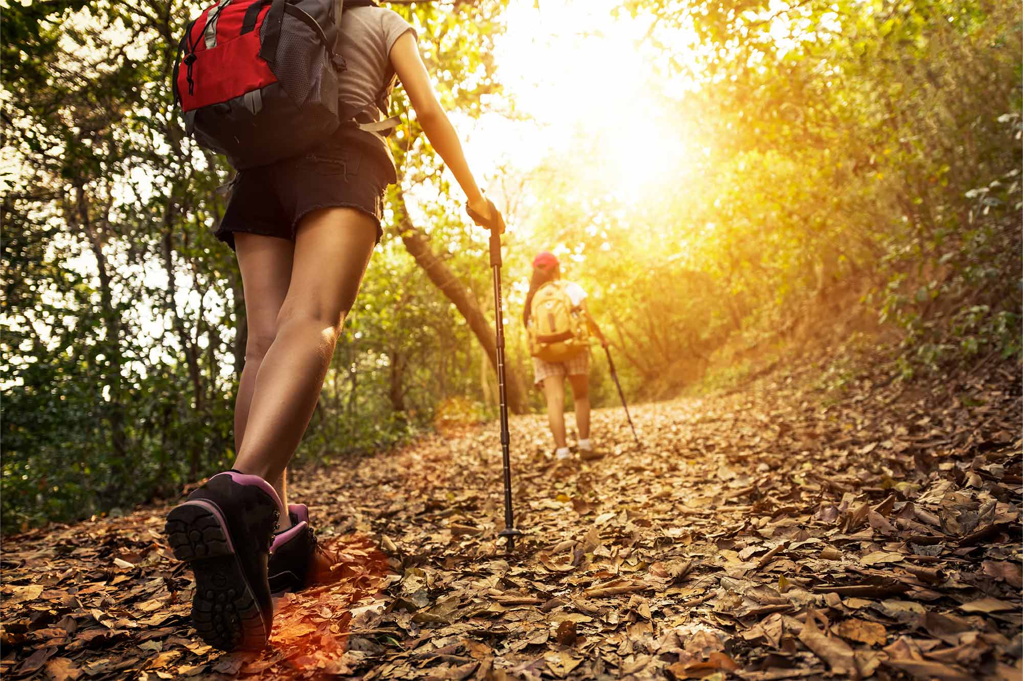 Le attività da fare in autunno in casa e all’aperto