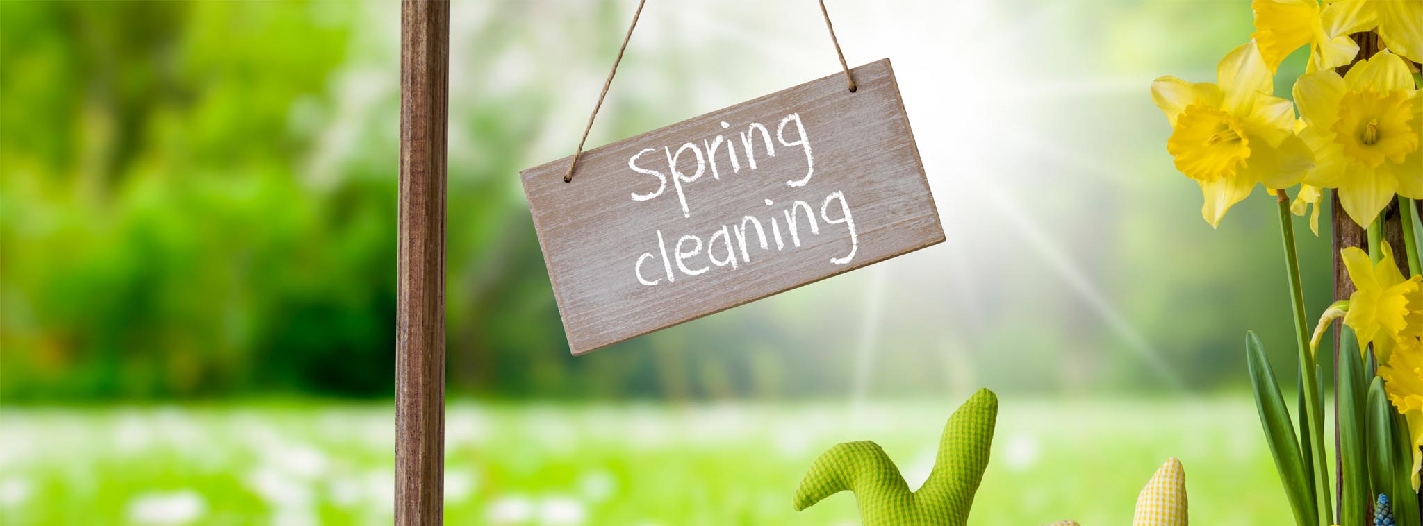 Pulizie di primavera: come farle all’insegna di ordine e sostenibilità