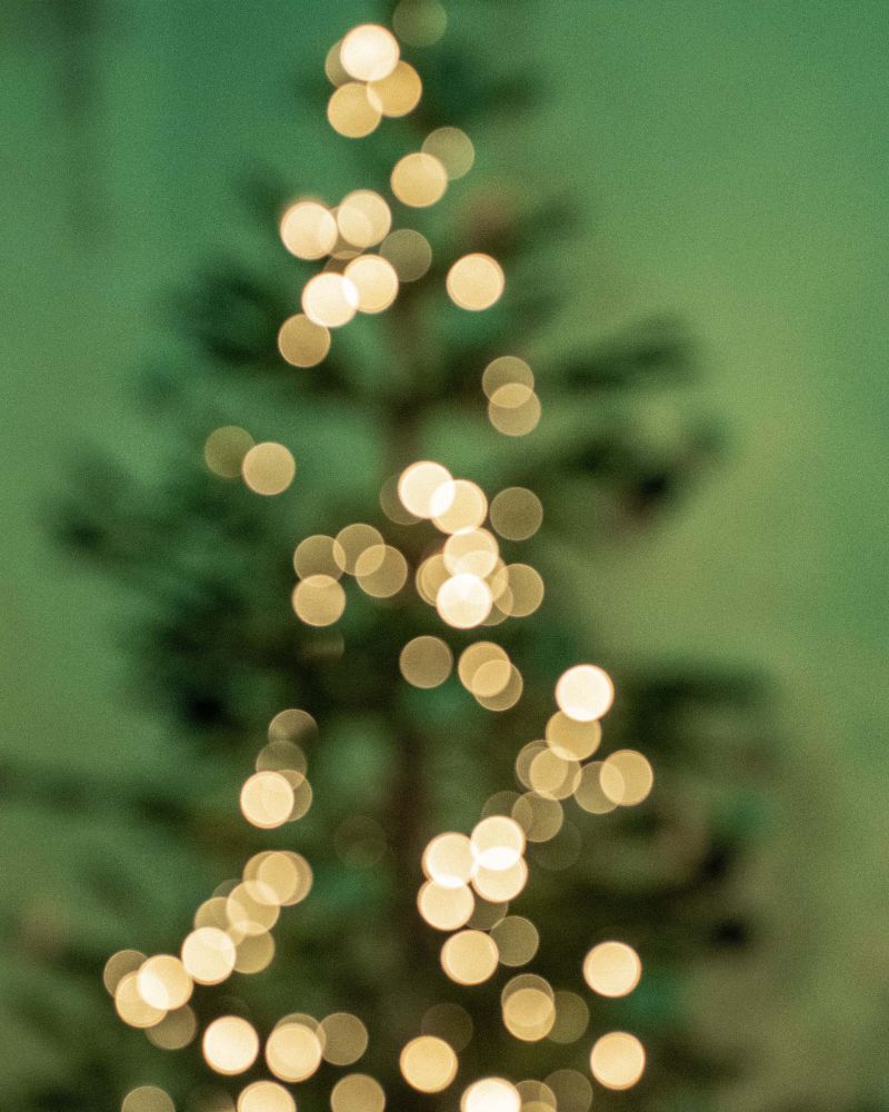Quando si fa l’albero di Natale?