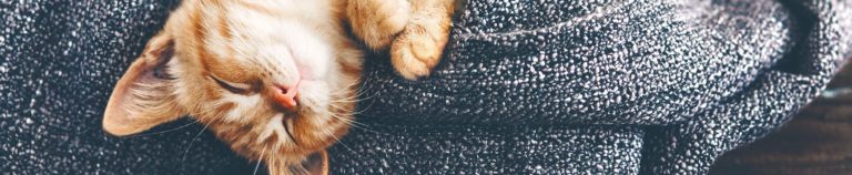 Cuccia per animali - Casaforte